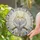 Gray Cockatiel Couple Perched In Harmony For Nature Inspired Home Garden Window Decor Stained Glass Suncatcher - 2