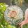 Ivory and Coral Rose Floral Keepsake for Romantic Home Decor and Anniversary Gifting Stained Glass Suncatcher - 2