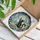 Lavender Cat Beneath a Crescent Moon for Celestial Home Decor and Cat Lover Gifts Stained Glass Suncatcher - 4