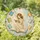 Enchanted Fairy Reading Book Circular Design for Bookworm Reading Nooks Stained Glass Suncatcher - 1
