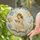 Enchanted Fairy Reading Book Circular Design for Bookworm Reading Nooks Stained Glass Suncatcher - 2