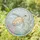 Majestic Sea Turtle Amidst Coral Reef for Inviting Beach House Living Spaces Stained Glass Suncatcher - 1
