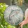 Leaping Rainbow Trout in Elegant Circle for Fisherman Cabin and Lake House Decor Stained Glass Suncatcher - 2
