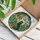 Black Cat And Succulent Garden Decor For Plant Lovers, Cozy Homes, And Gift Giving Stained Glass Suncatcher - 4