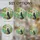 Black Cat And Succulent Garden Decor For Plant Lovers, Cozy Homes, And Gift Giving Stained Glass Suncatcher - 5