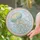 Jellyfish Ocean Scene Beach Coastal Home Decor Mothers Day Gift for Mom Stained Glass Suncatcher - 2