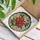 Red Poinsettia And Holly Medallion For Christmas Window Decor, Winter Home Gifts Stained Glass Suncatcher - 4