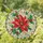 Red Poinsettia And Holly Medallion For Christmas Window Decor, Winter Home Gifts Stained Glass Suncatcher - 1