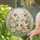 Cute Guinea Pigs with Pastel Flowers in Circular Design for Whimsical Pet Homes Stained Glass Suncatcher - 2