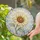 Loving Sunflower Bloom Design for Mothers Day Gift for Mom Her Garden Accent Stained Glass Suncatcher - 2