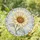 Loving Sunflower Bloom Design for Mothers Day Gift for Mom Her Garden Accent Stained Glass Suncatcher - 1