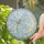 Serene Dragonfly Hovering by Crescent Moon for Boho Nature Inspired Home and Garden Decor Stained Glass Suncatcher - 2
