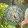 Thirteen Songbirds in a Sunlit Garden for Bird Lovers, Cottage Decor and Gifting Stained Glass Suncatcher - 2