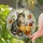 Curled Cat And Golden Pumpkin For Cozy Autumn Decor, Reading Corners, And Cat Lovers Stained Glass Suncatcher - 2