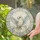Colorful Owl Circular Design with Radial Motifs in Stained Glass for Boho Nature Home Decor Stained Glass Suncatcher - 2