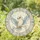 Colorful Owl Circular Design with Radial Motifs in Stained Glass for Boho Nature Home Decor Stained Glass Suncatcher - 1