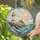 Coastal Lighthouse at Ocean Sunset with Seagulls and Flowers for Window Display Stained Glass Suncatcher - 2