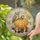 Autumn Owl Pumpkin Harvest Scene for Cozy Rustic Home Decor Stained Glass Suncatcher - 2