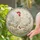 Hen and Rooster Circular Farmhouse Kitchen Decor Chicken Lover Gift Stained Glass Suncatcher - 2