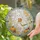 Whimsical Halloween Ghost Enjoying Coffee and Books with Fall Pumpkins and Leaves Stained Glass Suncatcher - 2