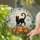 Ghost Cat and Jack-O'-Lantern Halloween Decor for Autumn Gift Giving, Spooky Home Stained Glass Suncatcher - 2