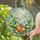 Ghost Lily Of The Valley Pumpkin Decor For Halloween Cottagecore Lovers And Garden Fans Stained Glass Suncatcher - 2