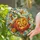 Jack-o'-Lantern Halloween Decor for Autumn Cheer and Cozy Seasonal Celebrations Stained Glass Suncatcher - 2