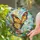Monarch Butterfly Window Decor for Birthday and Housewarming Gift, Rustic Farmhouse Stained Glass Suncatcher - 2
