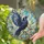 Black Raven And Moonlit Branches For Gothic Home Accents And Witchy Nature Lovers Stained Glass Suncatcher - 2