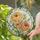 Ranunculus Rose Bouquet For Mother's Day Home Decor Gift For Mom And Flower Lovers Stained Glass Suncatcher - 2
