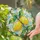 Yellow Lemon Branch Circle for New Home Kitchen Decor Accent, Gift for Mom or Grandma Stained Glass Suncatcher - 2