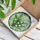 Lily Of The Valley Botanical Accent For Bright Garden Decor And Cottage Home Gifts Stained Glass Suncatcher - 4
