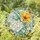 California Poppy and White Hydrangea Garden Gift for Mom, Gardeners, and Flower Lovers Stained Glass Suncatcher - 1