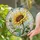 Golden Sunflower Garden Accent for Sunny Home Decor and Thoughtful Plant Lover Gifts Stained Glass Suncatcher - 2