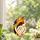 Stained Glass Cat Face Decor For Cozy Home Windows, Cat Lovers, And Housewarming Gifts Custom Shape Window Hanging Acrylic Ornament - 2