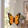 Orange Butterfly Stained Glass Accent for Garden Decor and Nature Lovers Gift Idea Custom Shape Window Hanging Acrylic Ornament - 4
