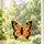 Orange Butterfly Stained Glass Accent for Garden Decor and Nature Lovers Gift Idea Custom Shape Window Hanging Acrylic Ornament - 2