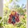 Dolly Parton Memorial Tribute for Country Music Fans and Remembrance Gift Giving Custom Shape Window Hanging Acrylic Ornament - 2