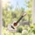 Dolly Parton Memorial Guitar Tribute for Country Music Fans, Music Room Décor Gift Custom Shape Window Hanging Acrylic Ornament - 2