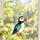 Puffin Coastal Bird Decor for Seaside Homes, Beach Rooms, and Ocean Lovers Gift Custom Shape Window Hanging Acrylic Ornament - 2