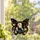 Dolly Parton Memorial Keepsake for Music Lovers and Honoring Her Musical Legacy Always Custom Shape Window Hanging Acrylic Ornament - 2