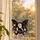 Dolly Parton Memorial Keepsake for Music Lovers and Honoring Her Musical Legacy Always Custom Shape Window Hanging Acrylic Ornament - 6