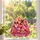 Dolly Parton Beloved Dogs Christmas Keepsake for Country Music Fans and Dog Lovers Custom Shape Window Hanging Acrylic Ornament - 2