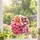 Dolly Parton Pink Country Music Keepsake for Christmas Fans and Cowgirl Home Decor Custom Shape Window Hanging Acrylic Ornament - 2