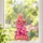 Dolly Parton Pink Glam Country Music Christmas Gift For Fans, Cowgirls, And Singers Custom Shape Window Hanging Acrylic Ornament - 2