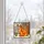 Ginger Cat And Butterfly Window Decor For Cozy Home Gift Cat Lover Garden Accent Sunny Custom Shape Window Hanging Acrylic Ornament - 6