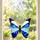 Blue Butterfly Window Decor For Nature Lovers And Garden-Inspired Home Styling Gifts Custom Shape Window Hanging Acrylic Ornament - 2