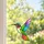 Hummingbird Stained Glass Suncatcher For Bird Lovers, Garden Windows, And Home Decor Custom Shape Window Hanging Acrylic Ornament - 2