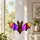 Flying Bat Halloween Window Hanging Gothic Autumn Home Decor for Haunted House Style Custom Shape Window Hanging Acrylic Ornament - 4