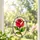 Red Rose Stained Glass Floral Accent For Cottage Window Decor And Garden Lovers Gift Custom Shape Window Hanging Acrylic Ornament - 2